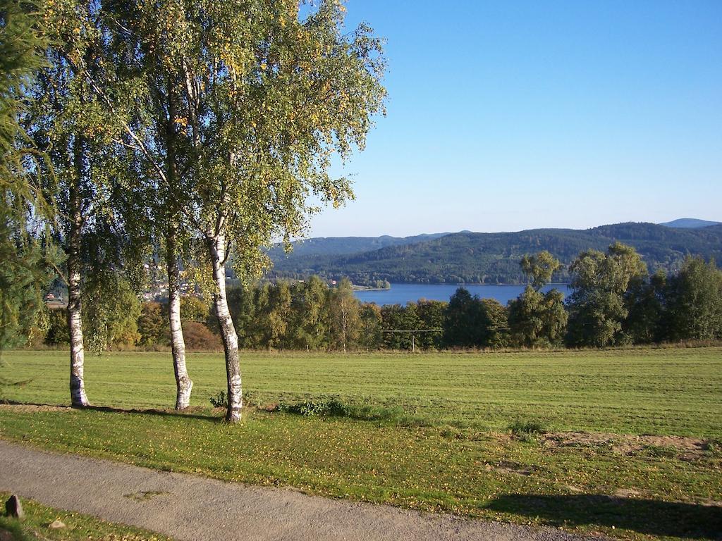 Chata Ostruzina 10+2 Lipno nad Vltavou Exterior photo